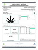 Cannabis product analysis certificate for GMO Kush Indoor THCa Flower hemp flower