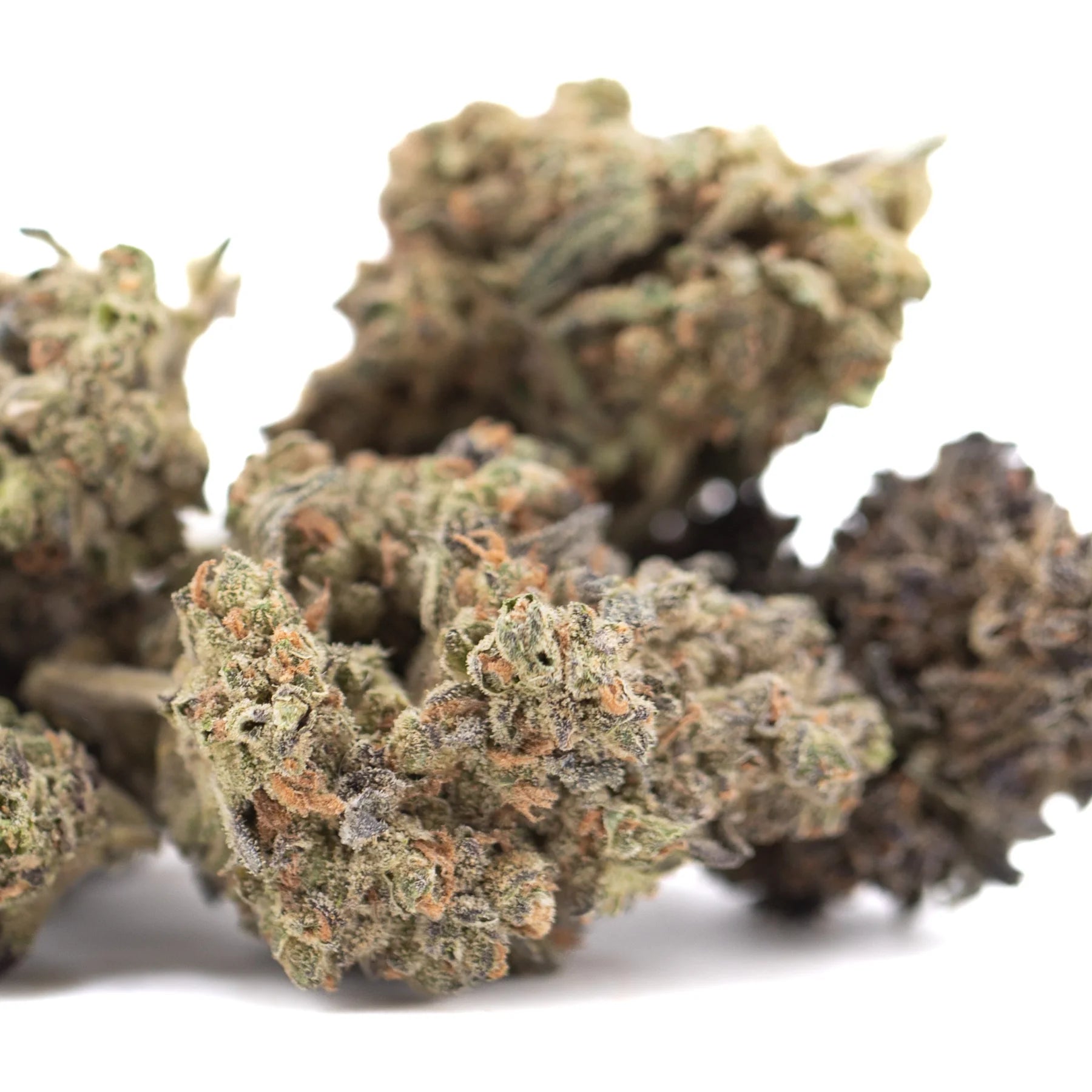 Lush dense GMO THCa flower buds in green and orange hues showcasing full-term thca flower indoor cultivation terpene profile