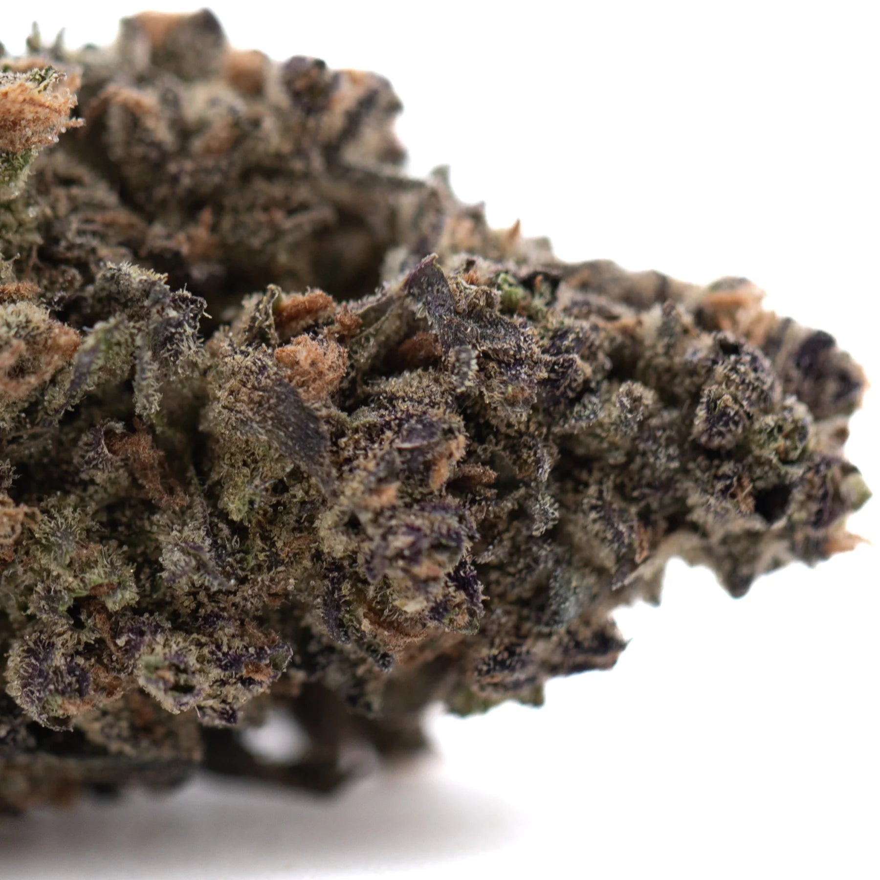 Dense cannabis bud of gmo thca flower full-term with green brown and purple hues covered in trichomes chemdawg x gsc ultra-premium potency indoor cultivation