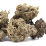 Lush dense cannabis buds with green and orange hues GMO THCa flower full-term wholesale chemdawg x gsc indoor cultivation