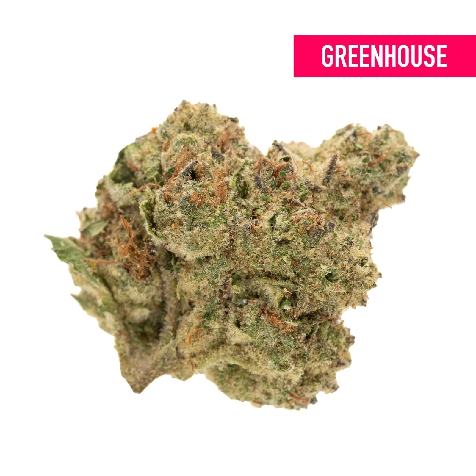 GMO THCa Hemp Flower Greenhouse - Plants
