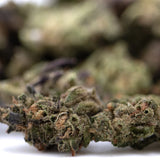 Dense green gmo full term thca smalls flower bud with trichomes and hints of brown and purple for girl scout cookies fans