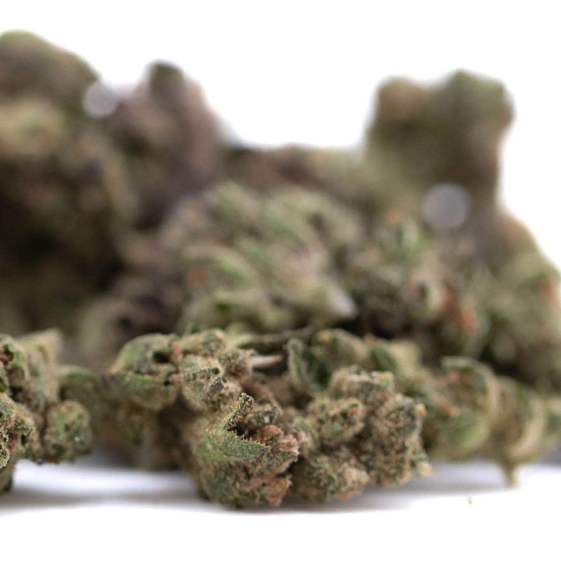 A dense green gmo full term thca smalls flower bud with textured surface and brown trichomes highlights cannabis quality