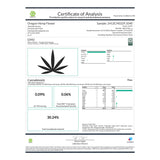 GMO THCa Hemp Flower Greenhouse - Plants