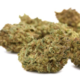 God’s Gift THCa Flower Full-Term - Plants