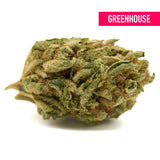 Dense trichome-covered Gorilla Glue THCa hemp flower greenhouse product shot