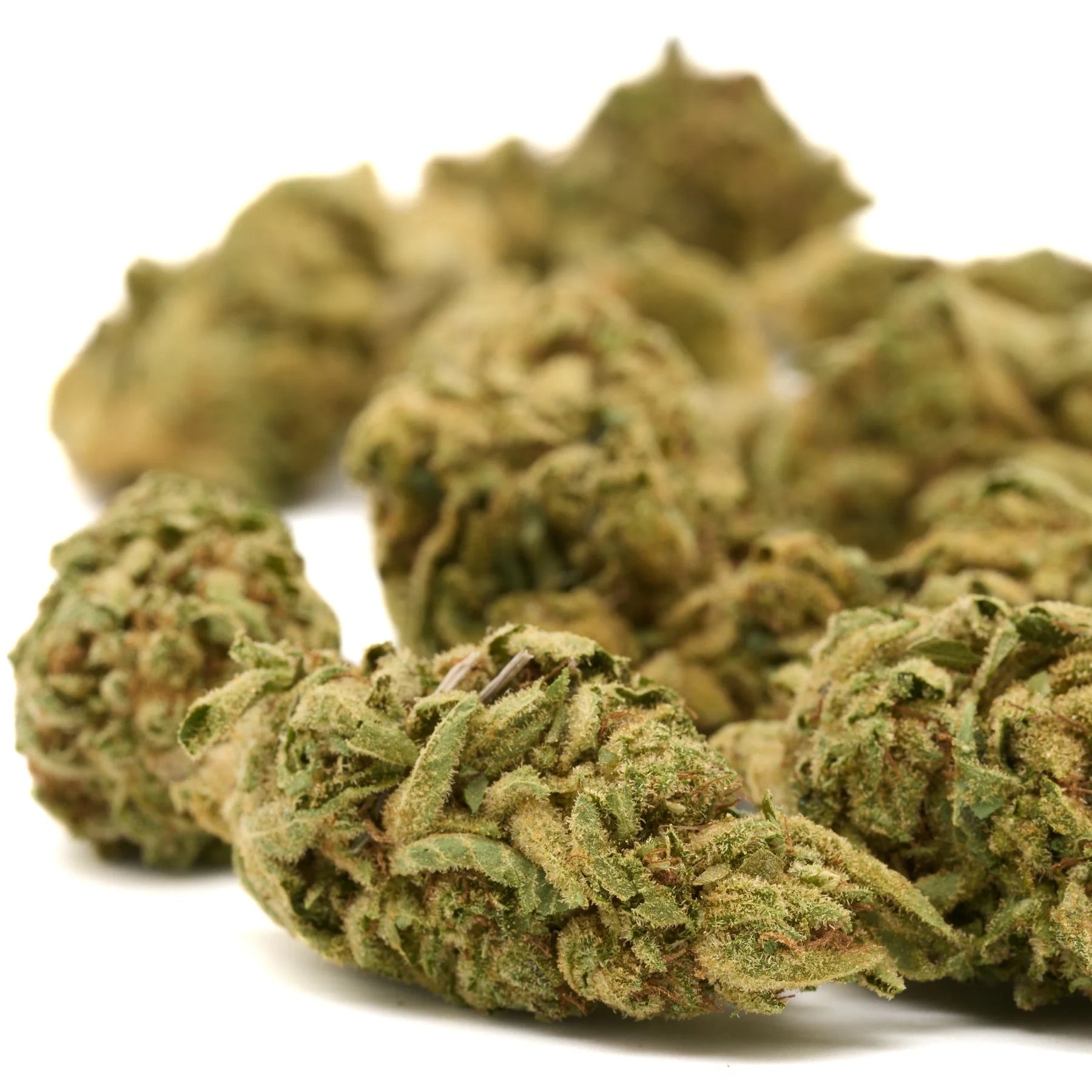 Dried Gorilla Glue THCa hemp flower greenhouse with visible trichomes and pistils