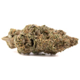 Government Oasis THCa hemp flower: green bud with trichomes