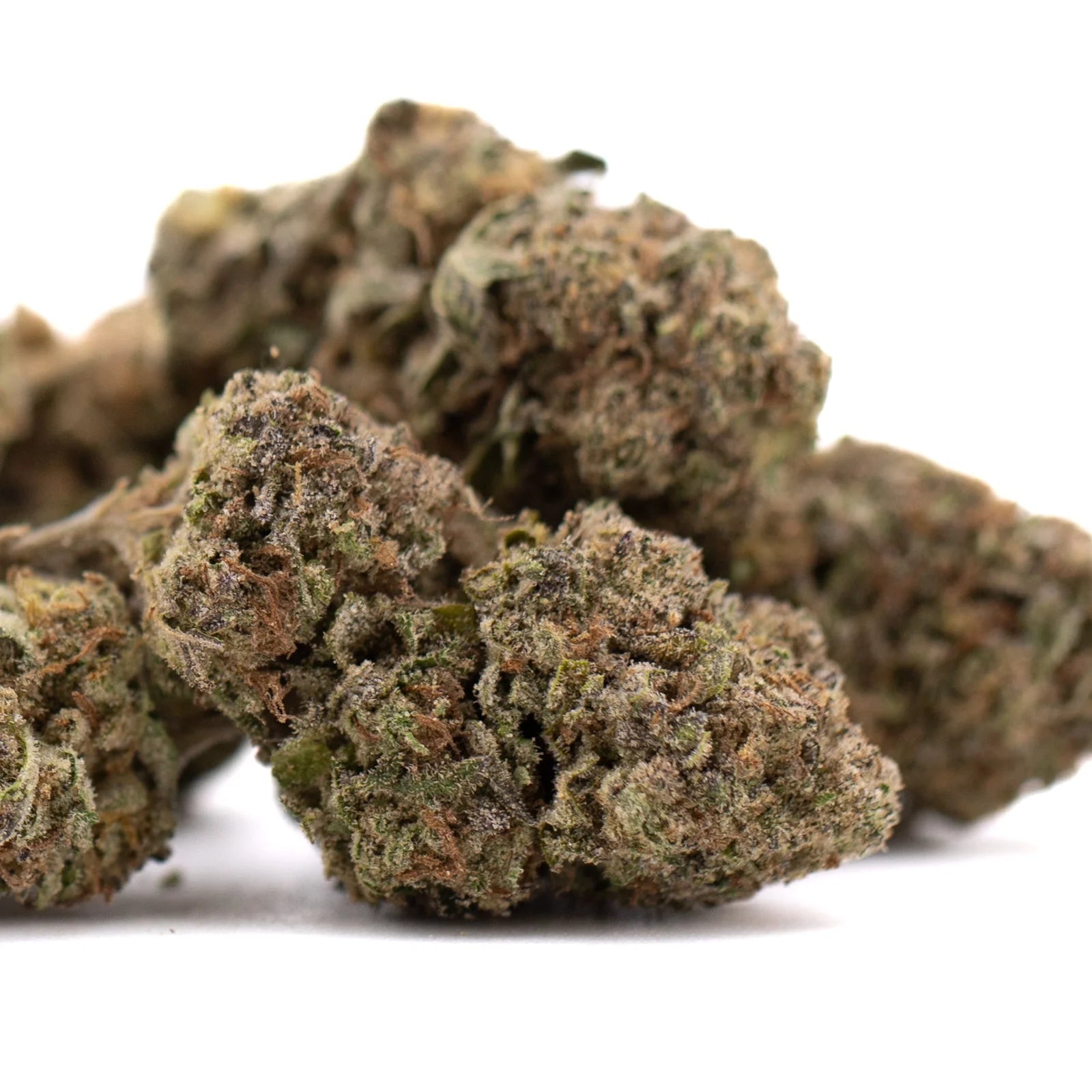 Government Oasis THCa hemp flower bud with green, brown hues and trichomes