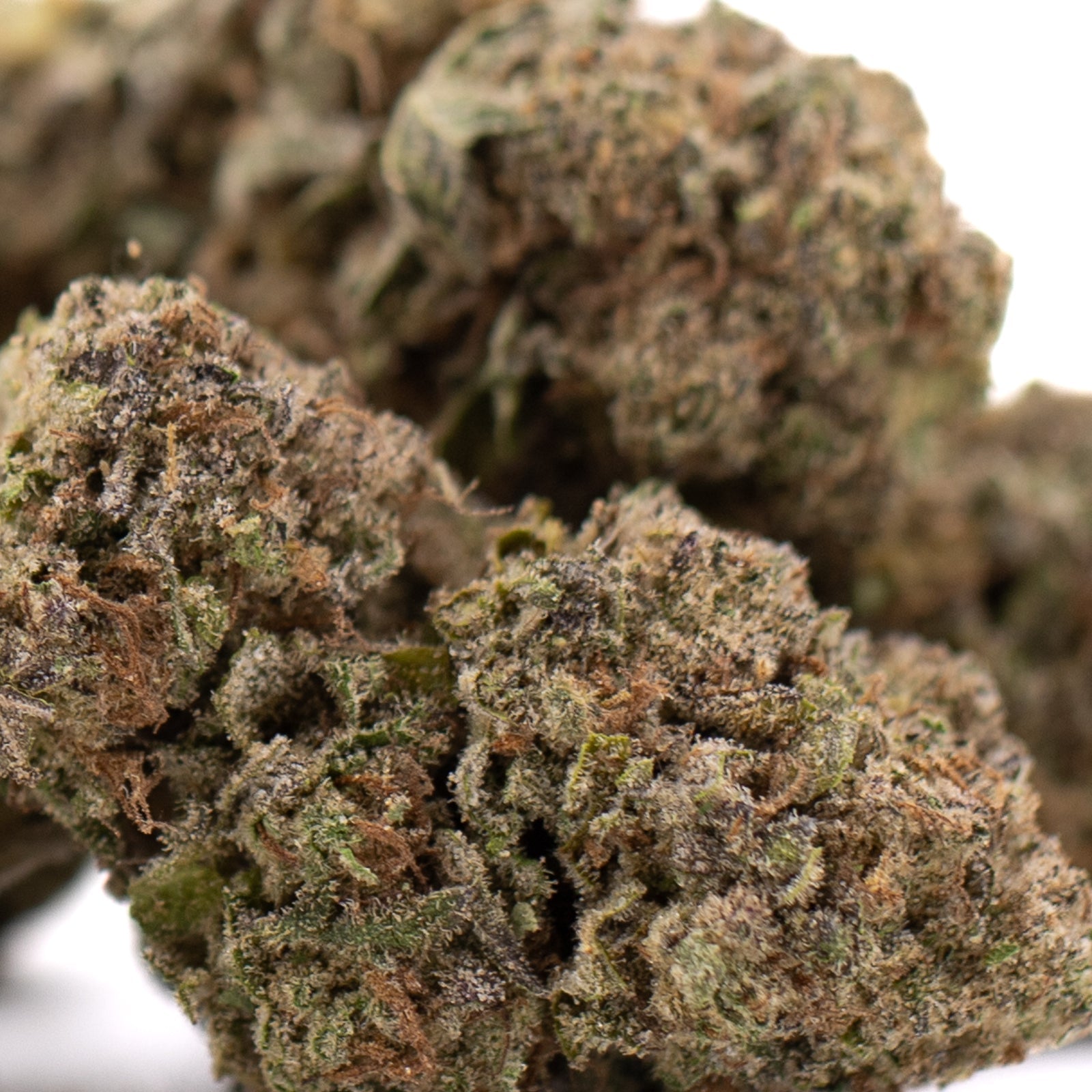 Government Oasis THCa hemp flower: marijuana bud with green, brown hues, trichomes