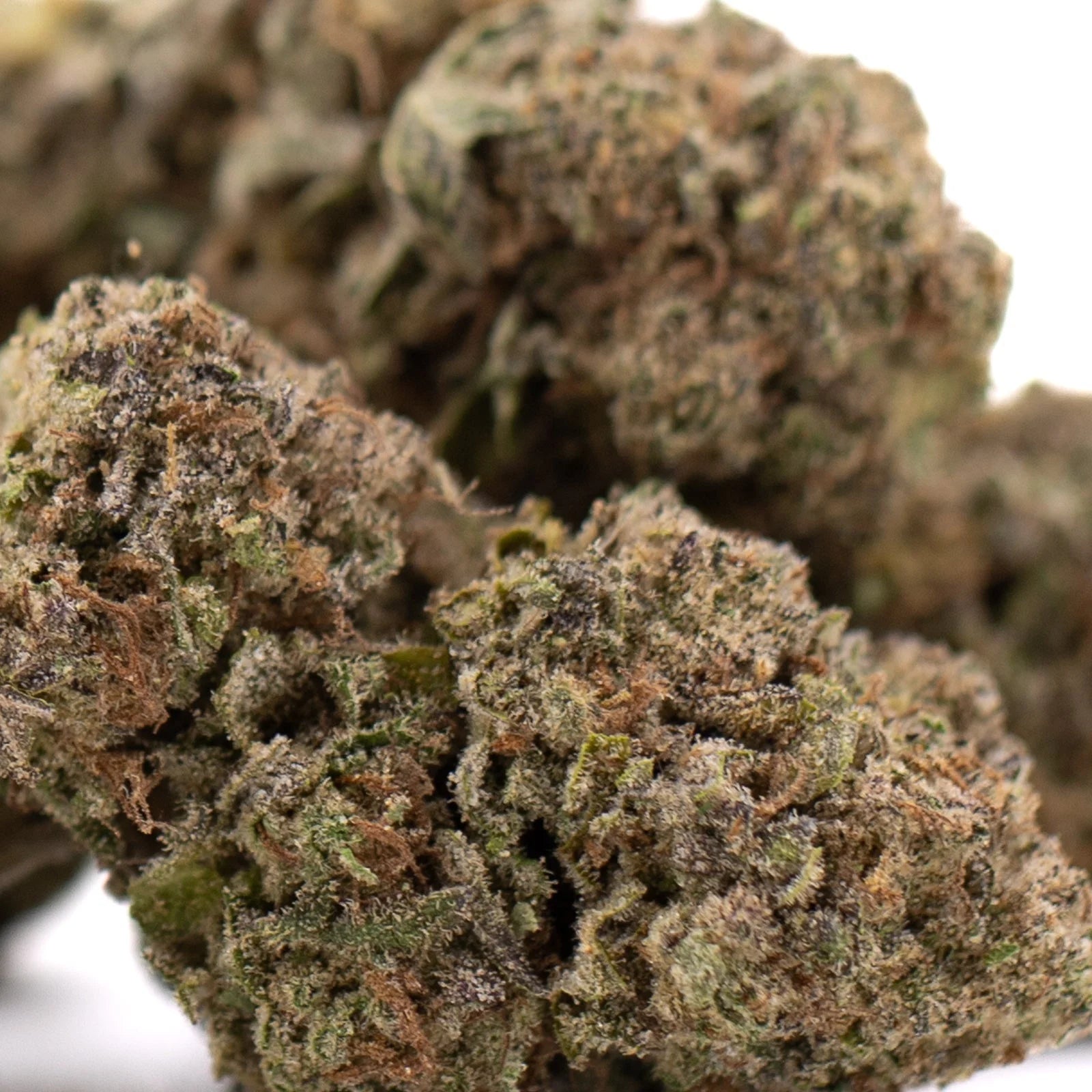Government Oasis THCa hemp flower: marijuana bud with green, brown hues, trichomes