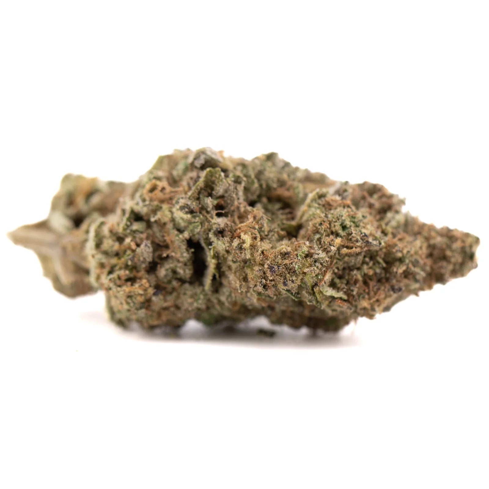 Greenhouse Green Cannabis Bud with Trichomes in Government Oasis Hemp Flower