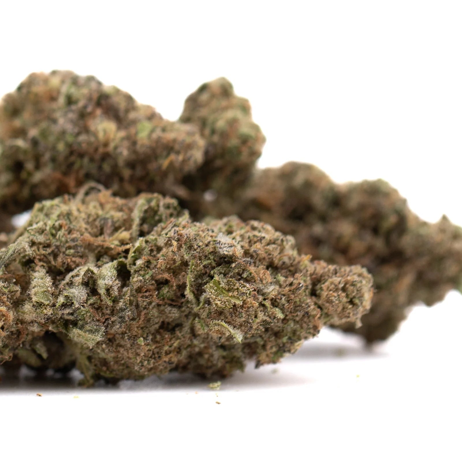 Government Oasis THCa hemp flower bud in greenhouse wholesale