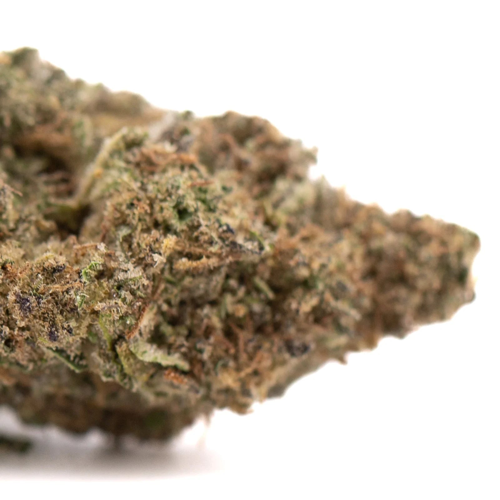 Government Oasis THCa hemp flower bud with green hues and trichomes