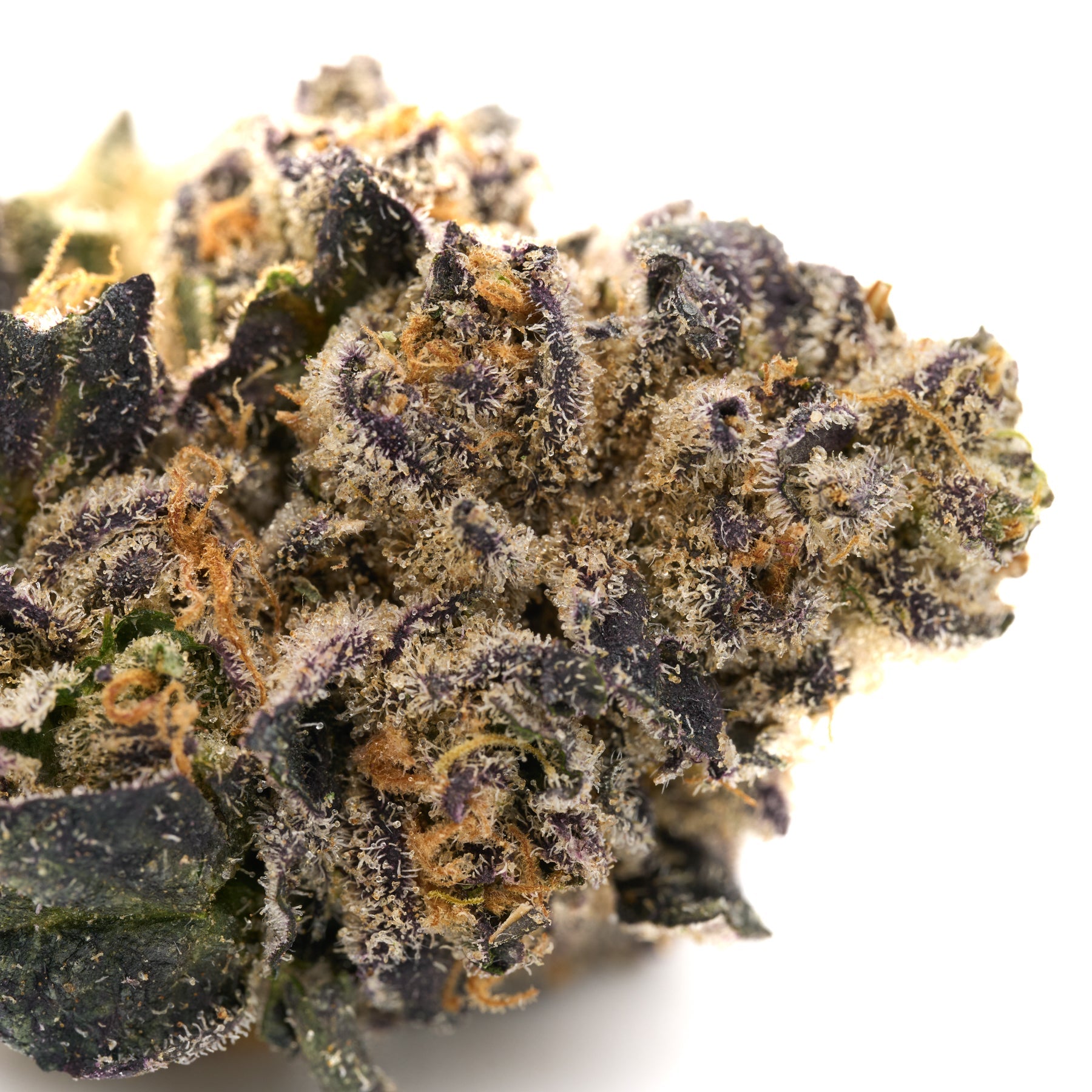 Close-up of Graffiti Mintz Indoor THCa Flower with purple hues, dense trichomes, and orange pistils