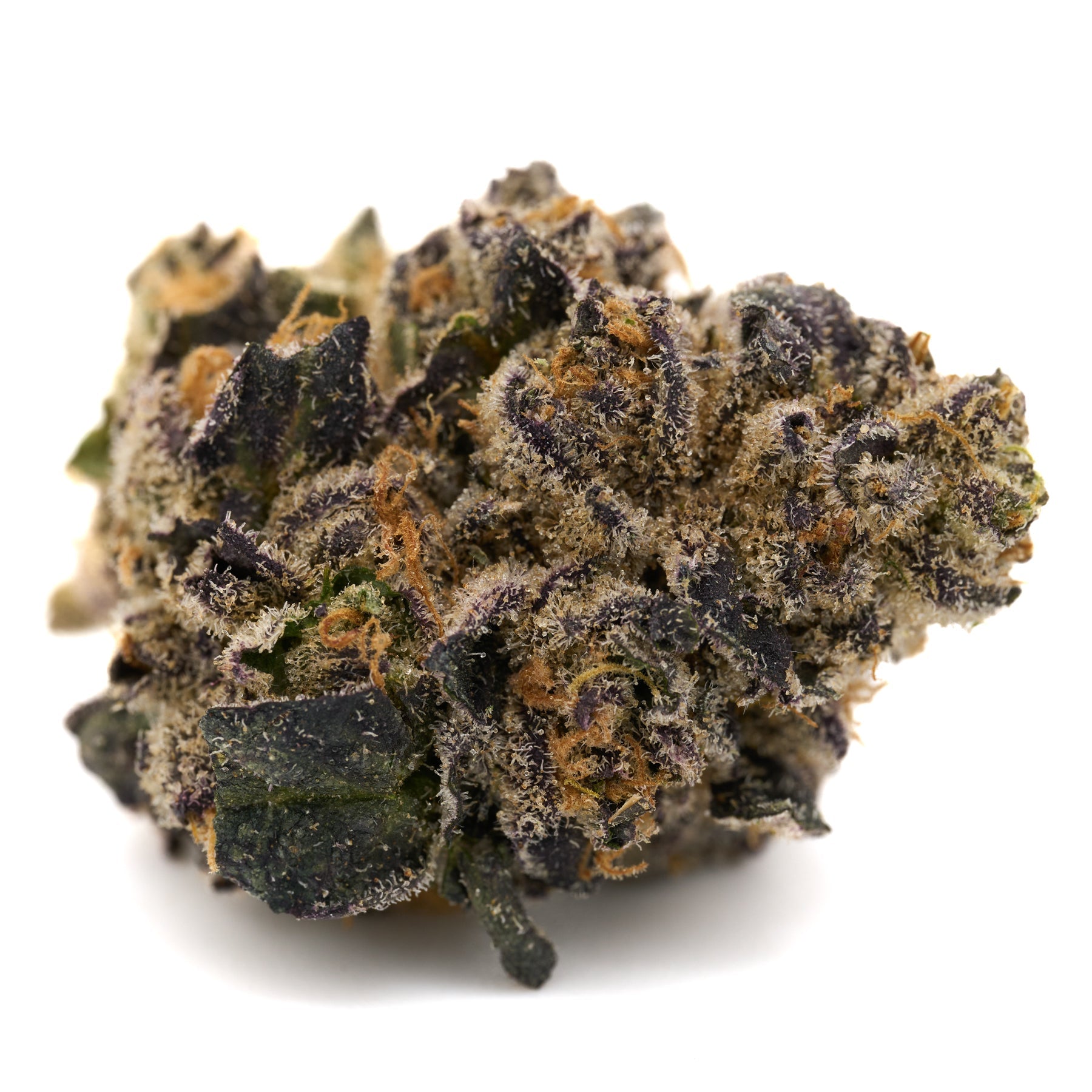 Dense trichome-covered Graffiti Mintz Indoor THCa Flower with purple, green hues and orange pistils
