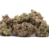 Dried Granny Crack Indoor THCa Flower with trichomes and orange hairs