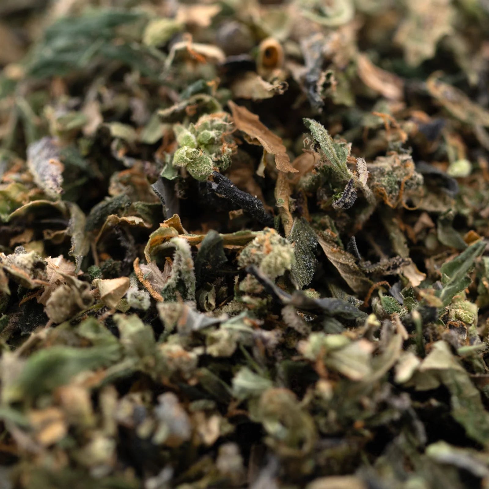 Finely ground dried herbs and spices for Granny Crack Indoor THCa Trim Wholesale 1LB featuring Green Crack and Sour Apple strains from Purple City Genetics