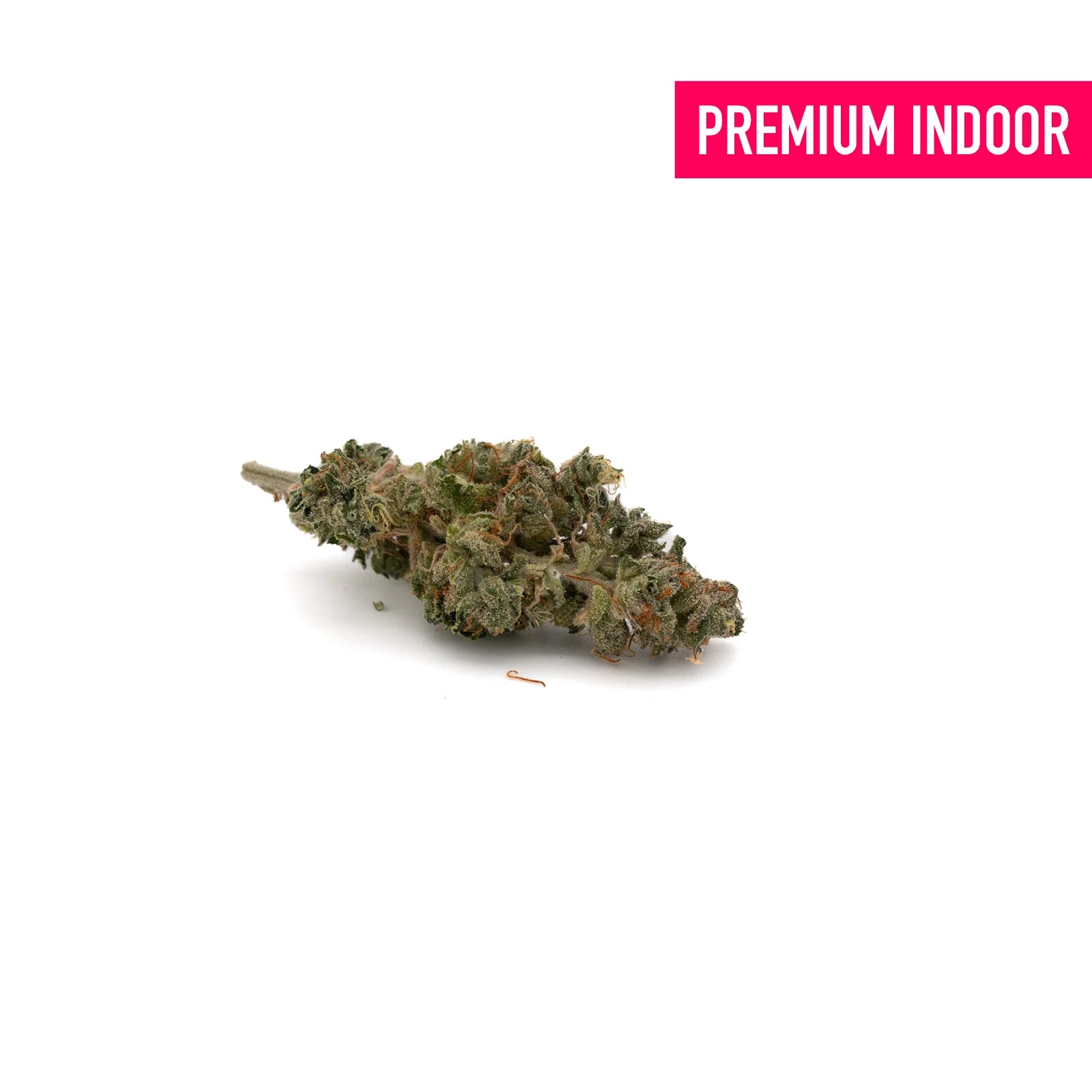 Grape Stank Indoor THCa Flower - 5g - Plants