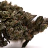 Close-up of Green Crack Indoor THCa Flower with trichomes and orange hairs for terpene profile analysis