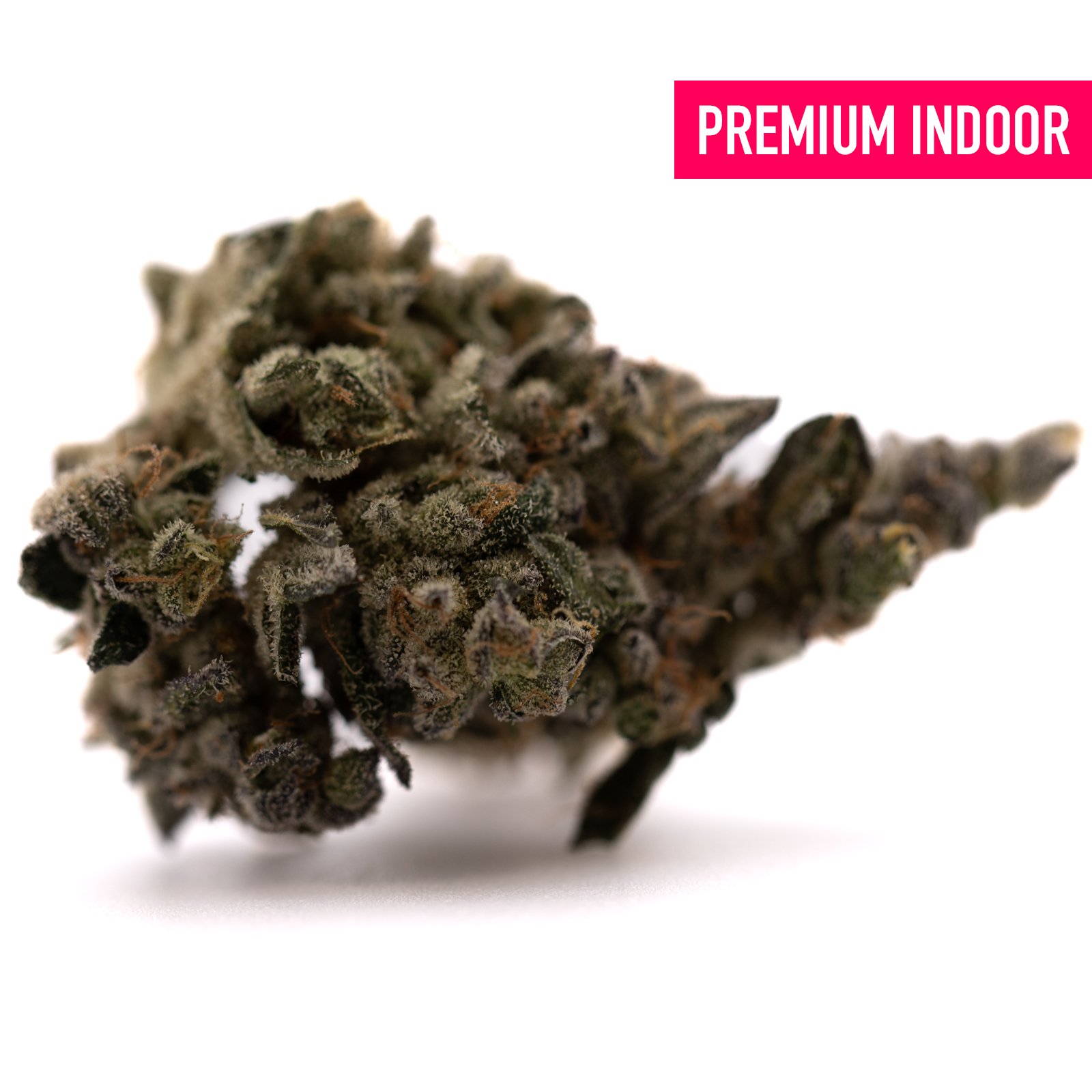 Dense crystalline Green Crack Indoor THCa Flower with dark green and purple hues