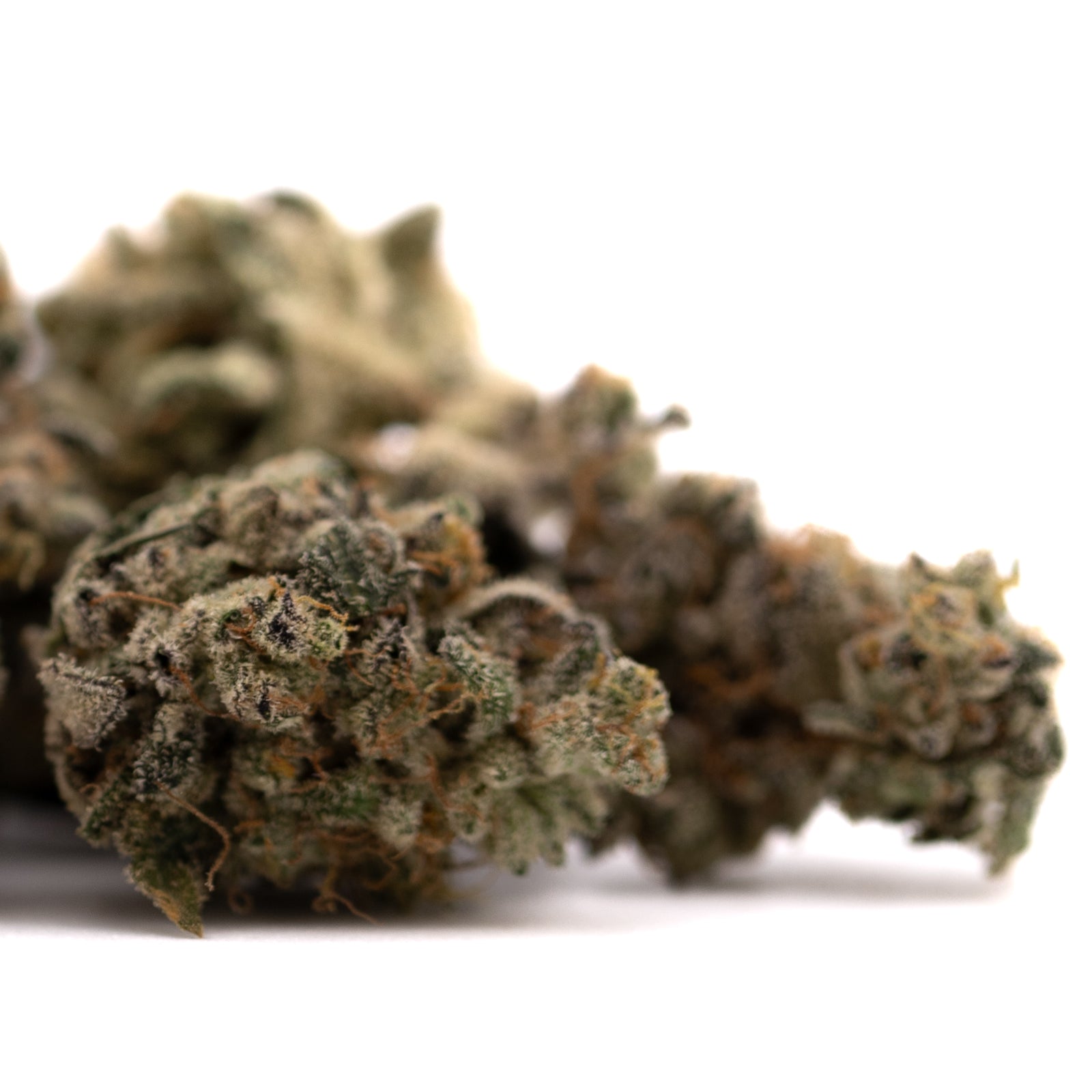 Dried Green Crack Indoor THCa Flower with trichomes and orange hairs for terpene profile analysis