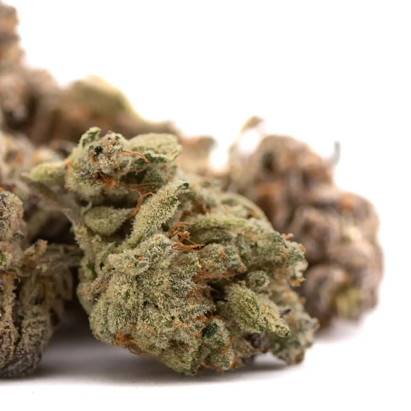 Money Ball vs Canal Street Runtz THCa Flower