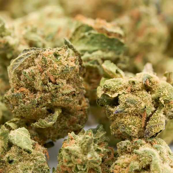 GMO vs Strawberry Diesel THCa Flower