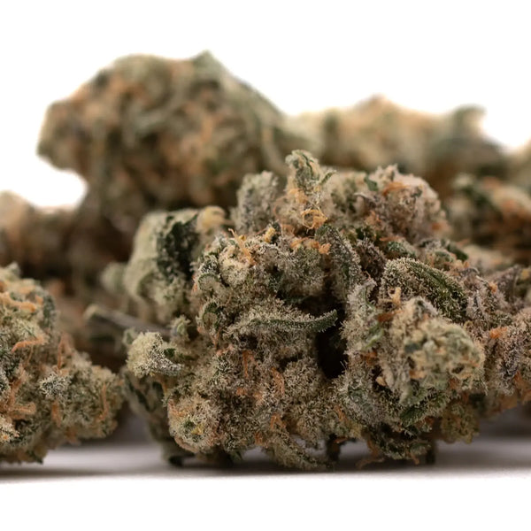 Blue Dream THCA