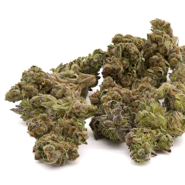 Inferno THCa Greenhouse vs Lucky Charms THCa Full-Term: 