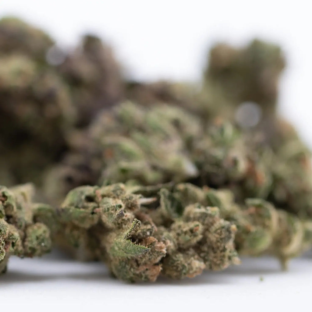 THCA Sativa vs Indica
