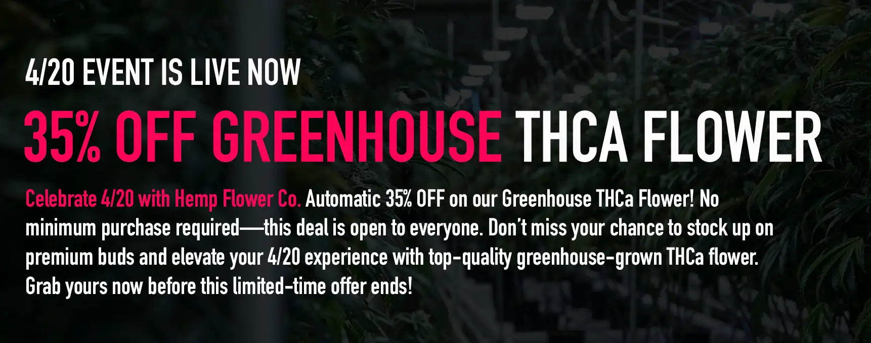 Greenhouse thca flower with a 35% discount offer.