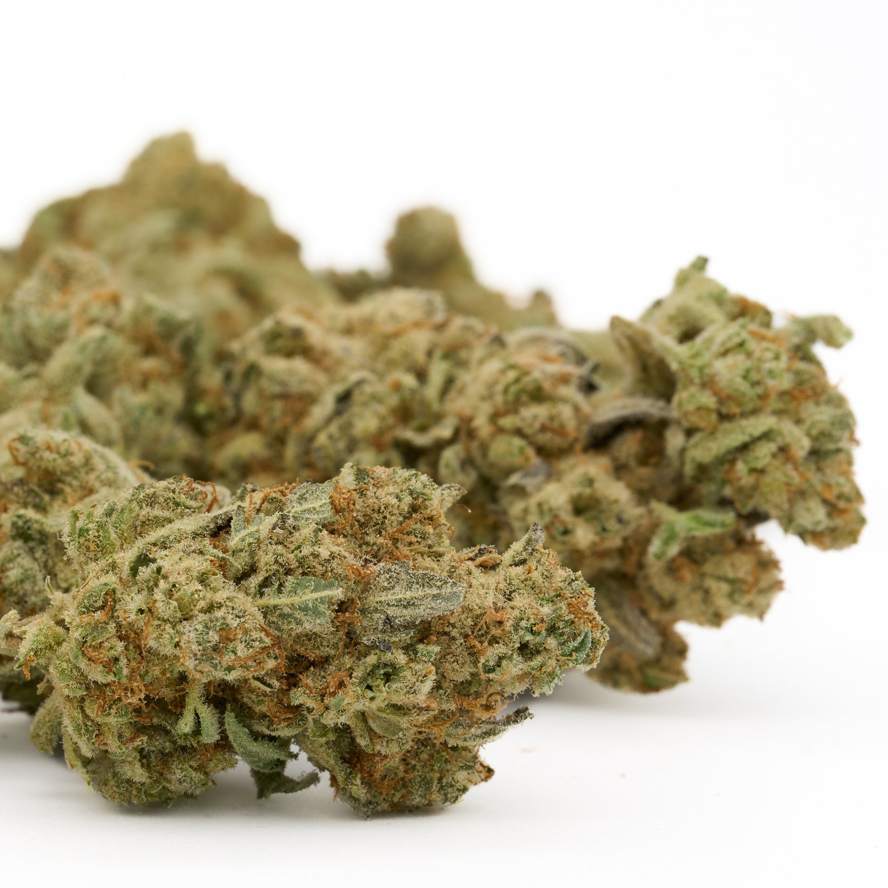 Close-up of dried Grizzly Gas indoor THCa flower with trichomes and orange hairs