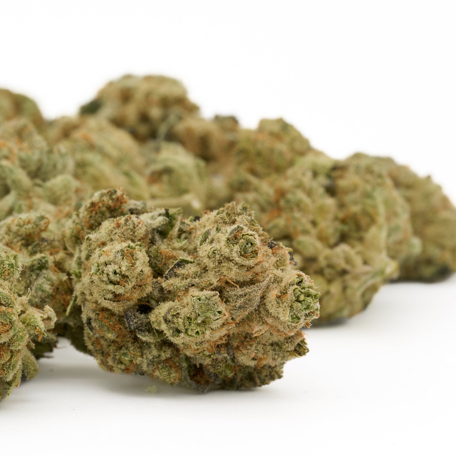 Dried cannabis buds from Grizzly Gas Indoor THCa Flower, premium THCa indoor flower