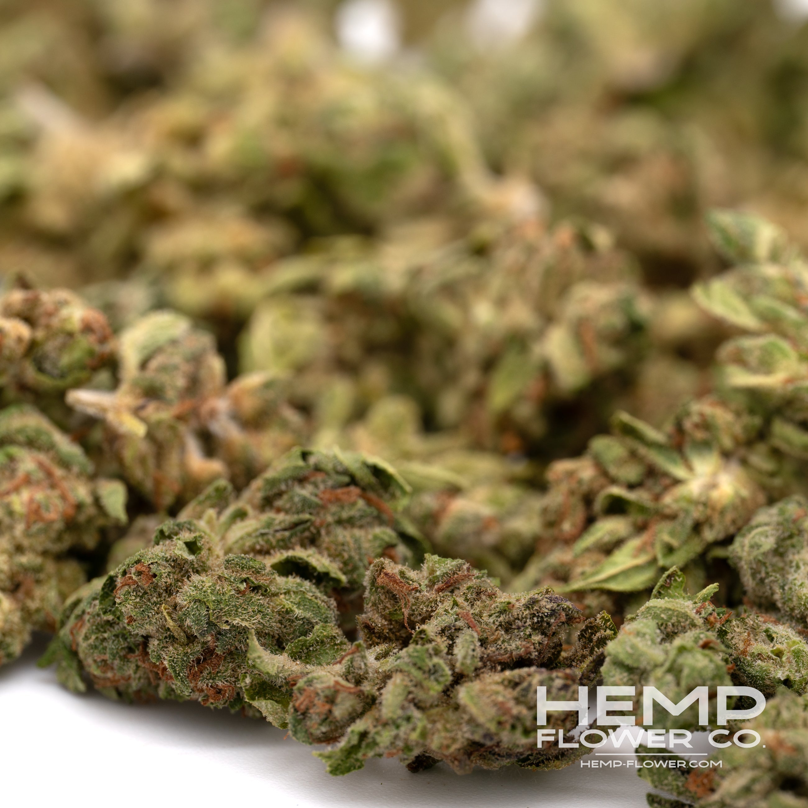 Dried cannabis buds with green and orange hues from Guava Tartz Greenhouse THCA Flower Wholesale