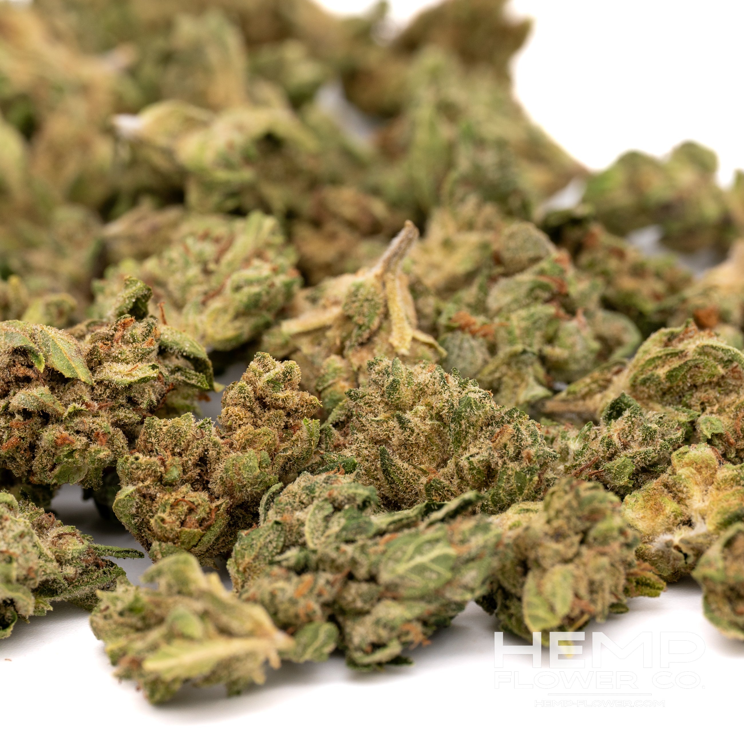 Pile of dried cannabis buds with green hues and orange pistils for Guava Tartz Greenhouse THCa Flower Smalls Wholesale