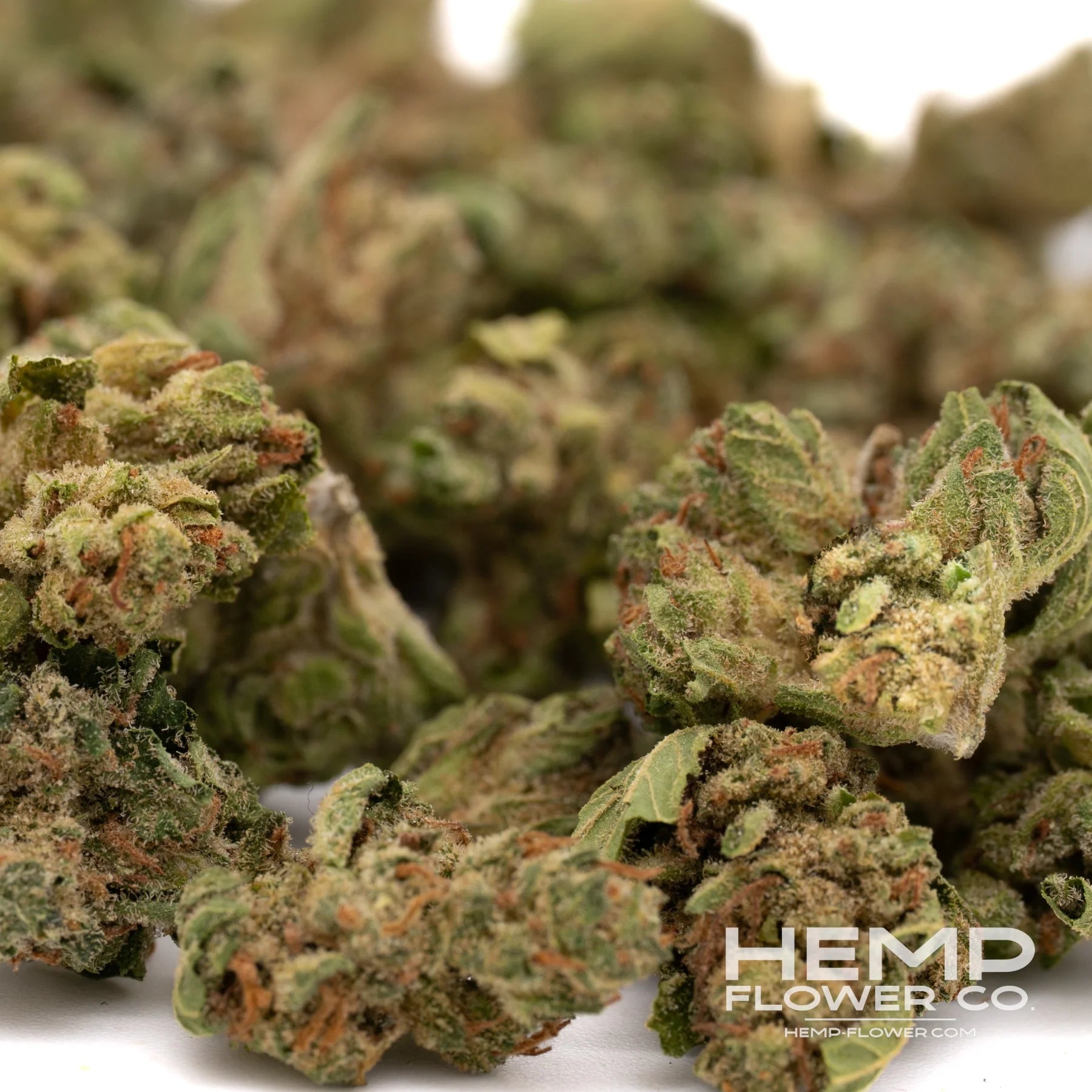 Dried green and orange cannabis buds from Guava Tartz Greenhouse THCa Flower Wholesale