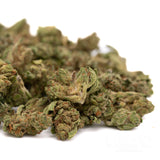 Light green Guava Tartz Greenhouse THCA flower buds with orange hairs for wholesale hemp flower co