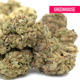 Light green and purple Guava Tartz Greenhouse THCa flower buds with trichomes for wholesale hemp flower co