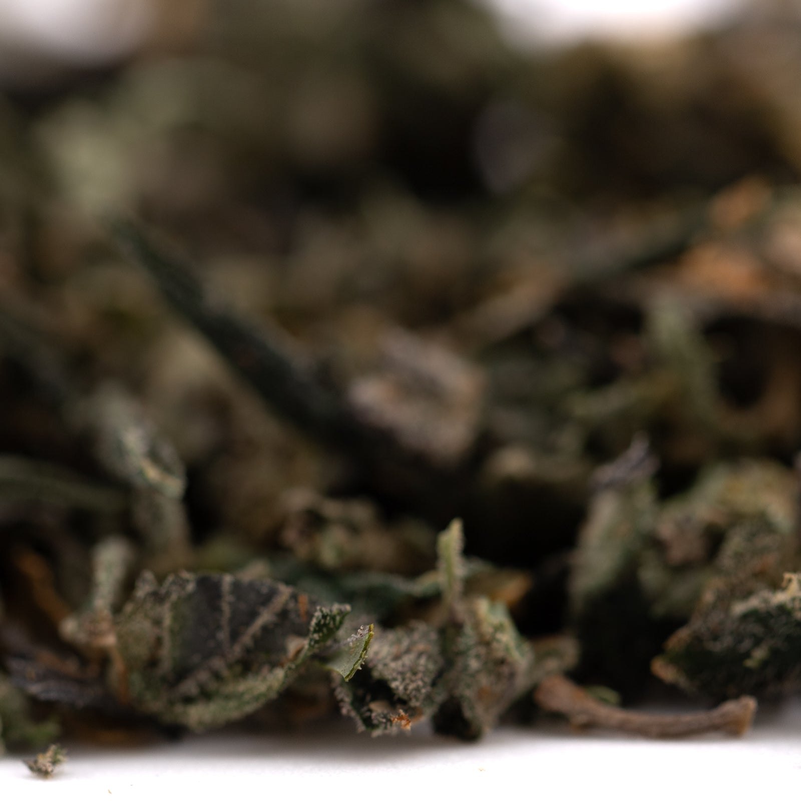Dried dark green tea leaves for Guava Tartz Indoor with tartz indoor THCA and terpene profile