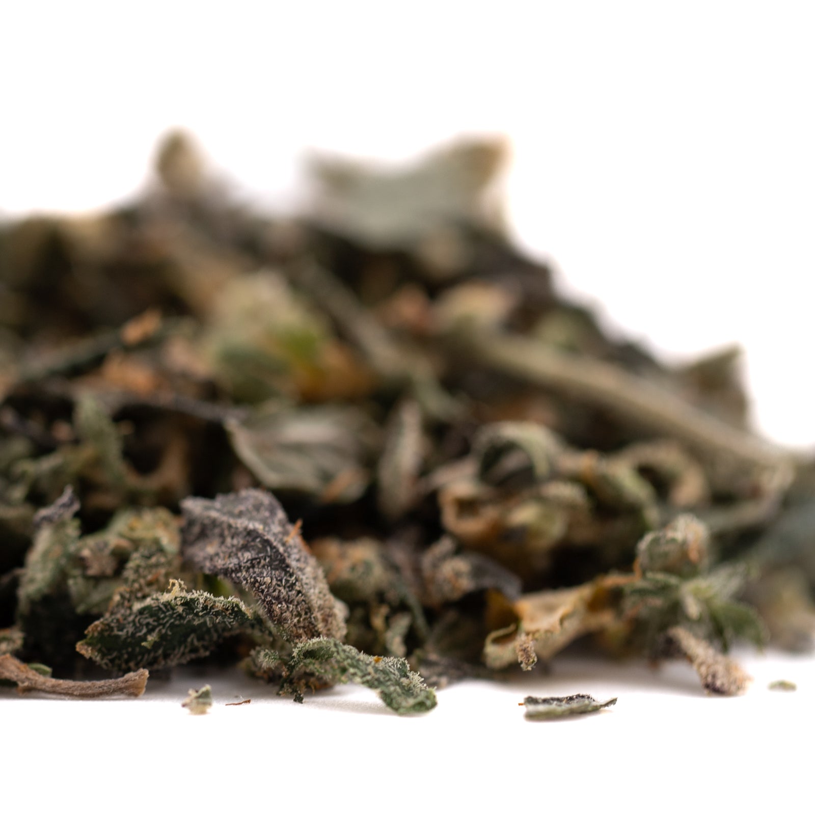 Loose-leaf green tea with dried herbs and spices for Guava Tartz Indoor Trim Wholesale 1LB