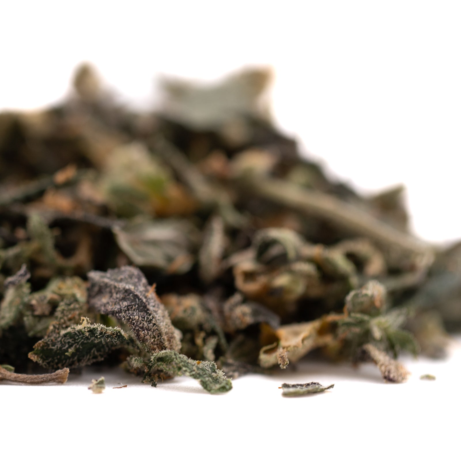 Dried green tea leaves with brownish-orange accents for Guava Tartz Indoor Tartz Indoor THCA terpene profile