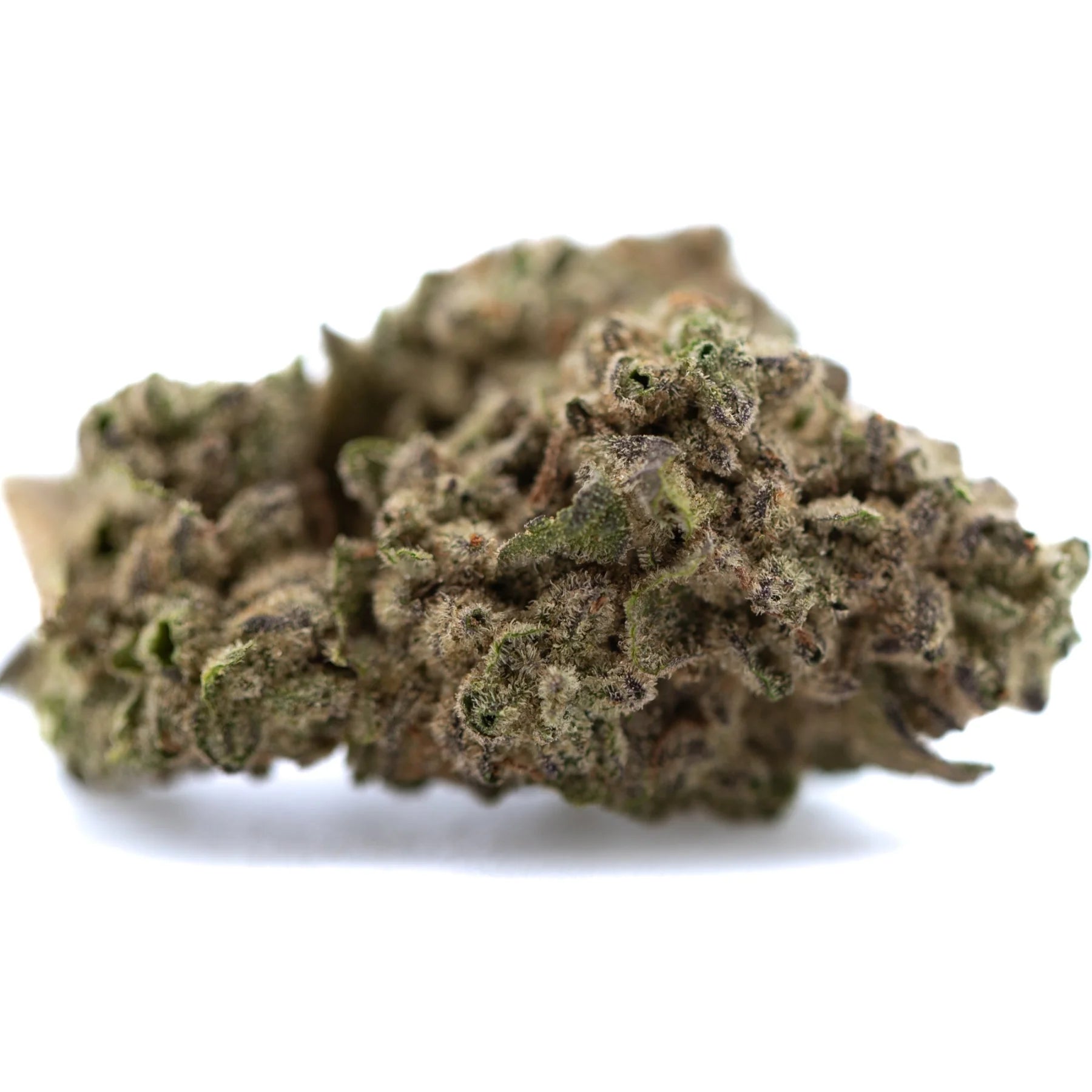 A dense guava tartz thca hemp flower bud with green and brown hues and fine trichomes from tropical genetics
