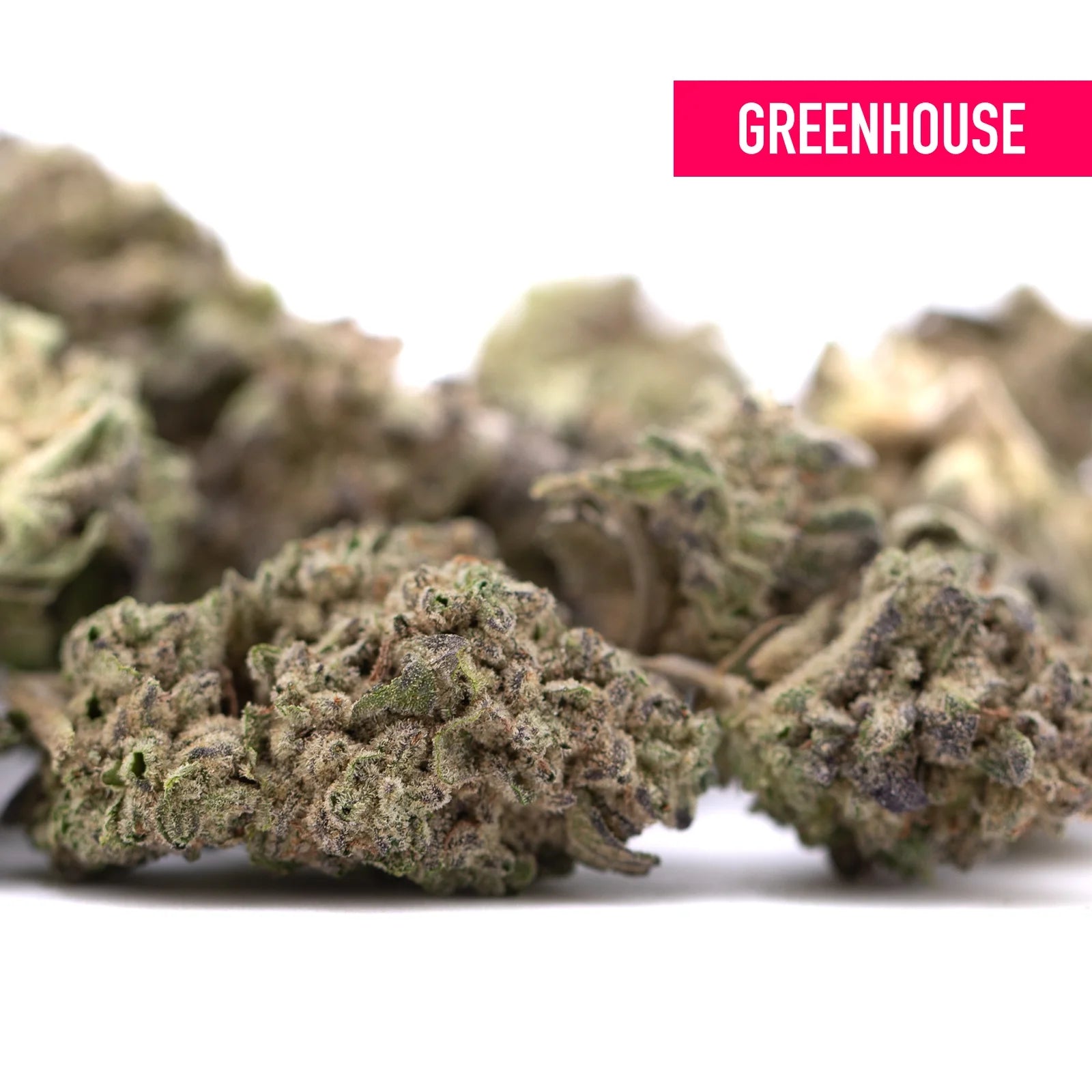 Guava tartz thca hemp flower by greenhouse smalls with dense green and brown buds featuring tropical genetics