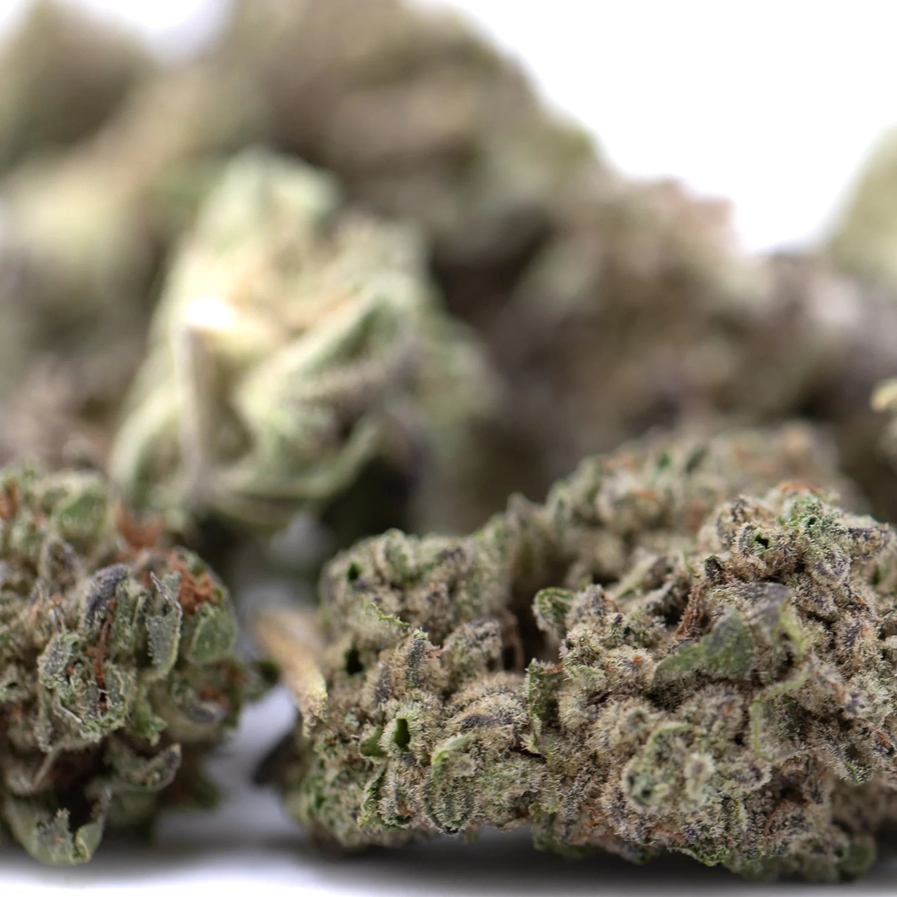 Guava tartz thca hemp flower with dense green and brown buds featuring tropical genetics by greenhouse smalls wholesale
