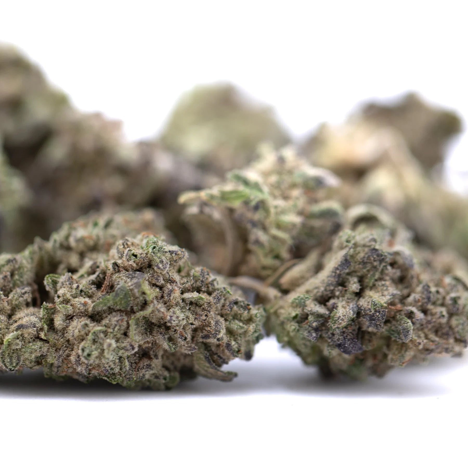 Lush dense guava tartz thca hemp flower smalls with green and purple tropical genetics by crockett’s dawg