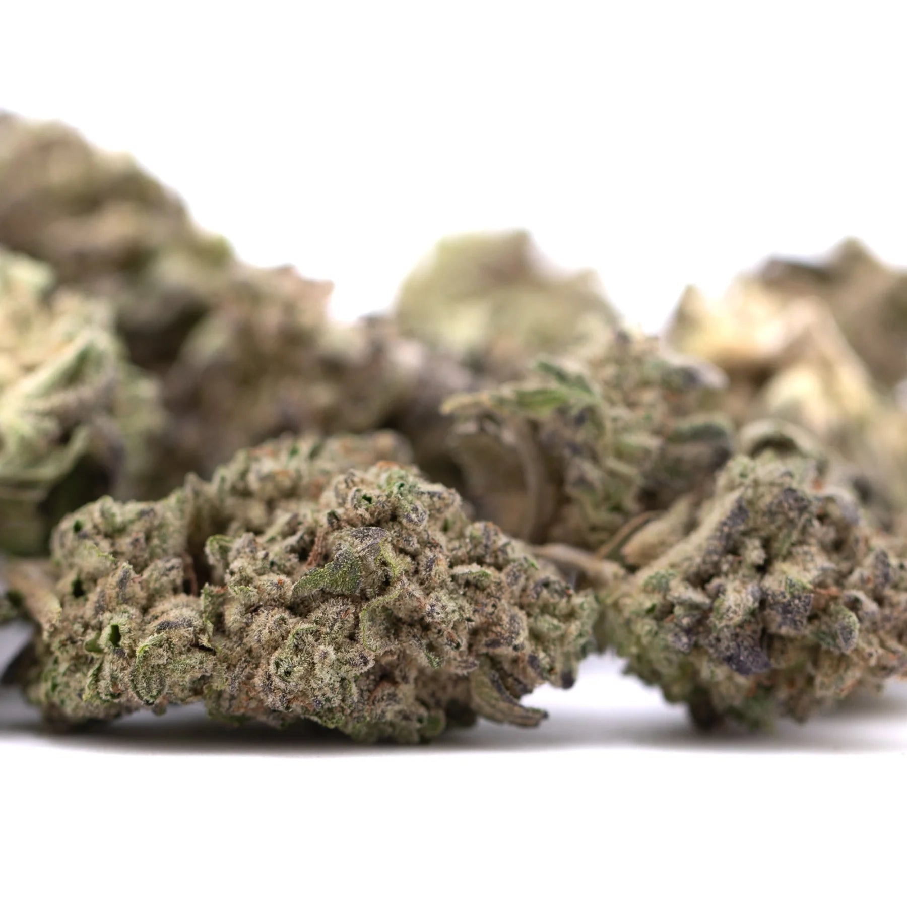 Mature guava tartz thca hemp flower buds with dense trichomes and greenish purple hues from tropical genetics