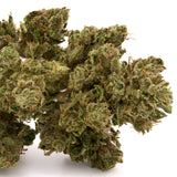 Guava THCa Hemp Flower - Plants