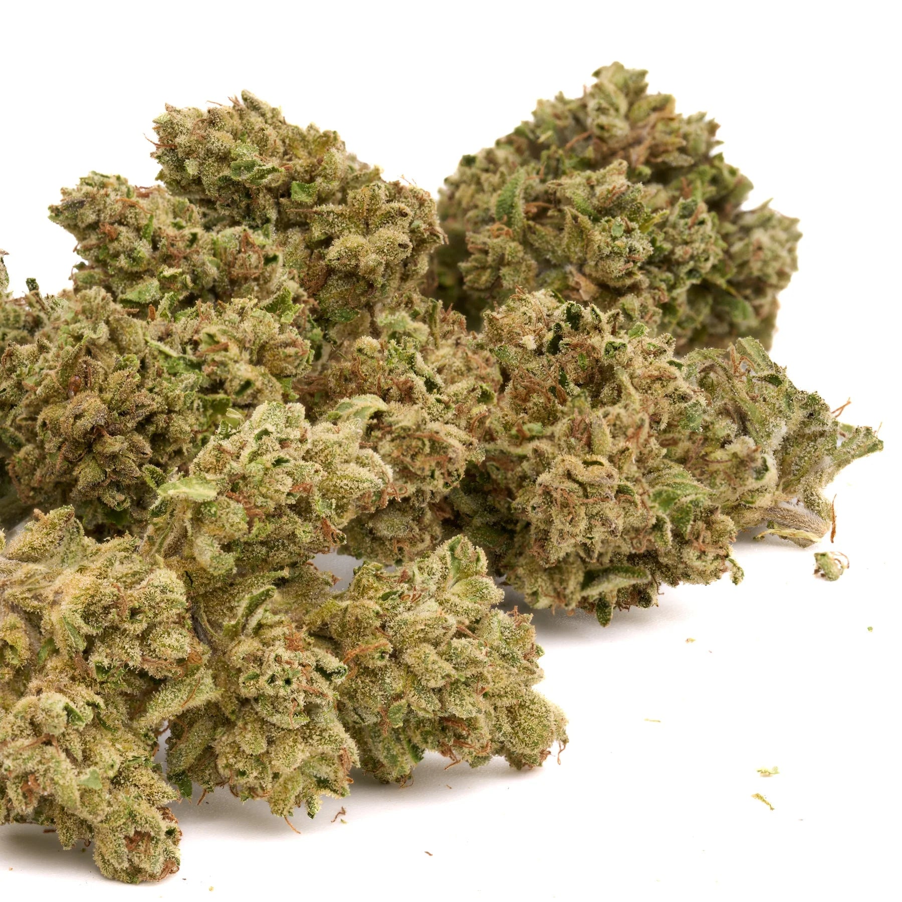 Guava THCa Hemp Flower - Plants