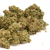 Guava THCa Hemp Flower - Plants